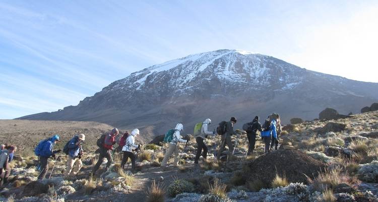 Route de Marangu - 5 jours - Samora Explorers Ltd 4