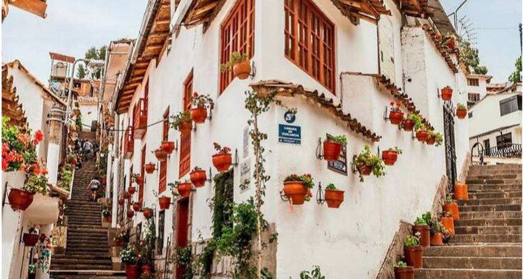 Rincón colorido de una calle con macetas de flores.