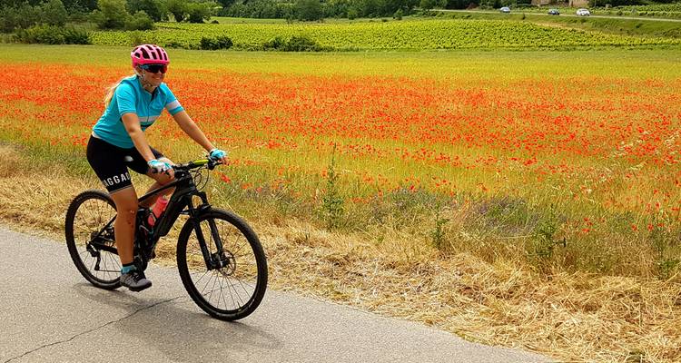 La vallée de la Loire à vélo - Intrepid Travel 4