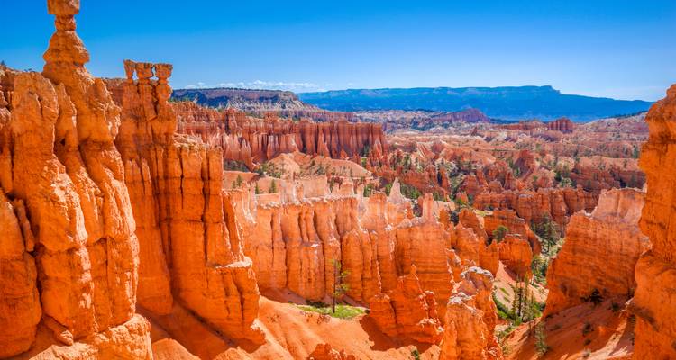 A sweeping vista of Bryce Canyon’s vivid orange hoodoos stretches beneath a cloudless blue sky.