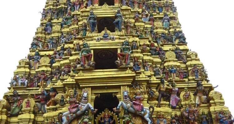 Circuit de 5 jours au Sri Lanka avec attractions - Vishwa Tour 1