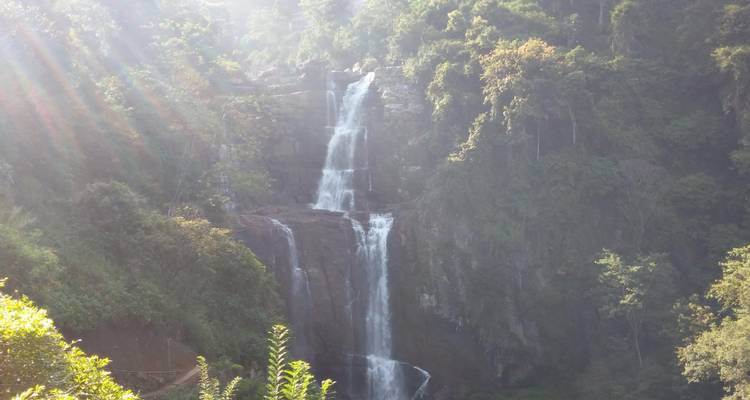 Circuit de 5 jours au Sri Lanka avec attractions - Vishwa Tour 6