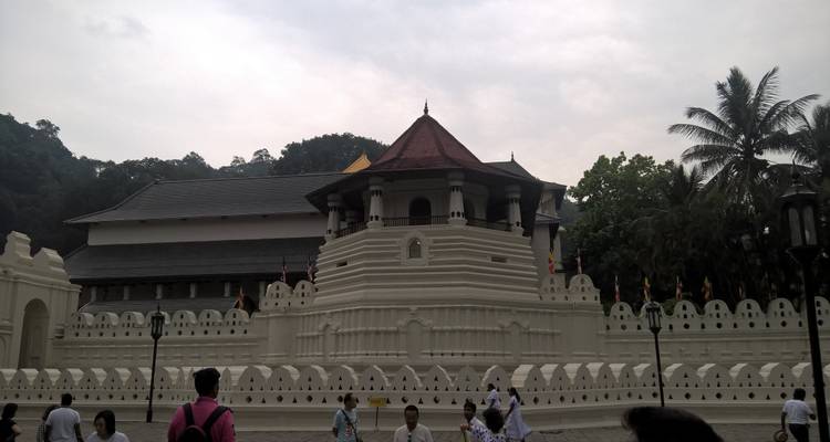Circuit de 5 jours au Sri Lanka avec attractions - Vishwa Tour 8