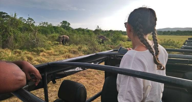 Miracle Sri Lanka - New Elegance Lanka Tours and Leisure 1