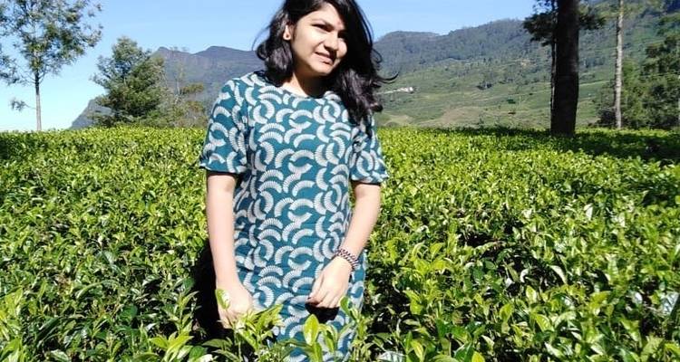 Miracle Sri Lanka - New Elegance Lanka Tours and Leisure 3