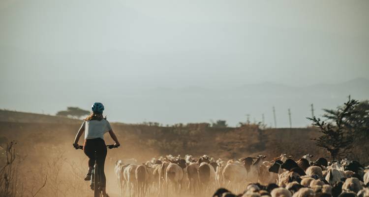 Tour du Kilimandjaro occidental à VTT - One Bike Tanzania 6