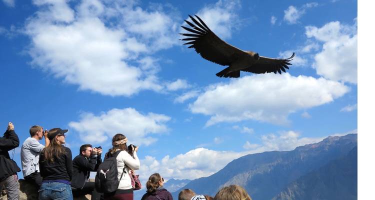 11/10 Lima, Cusco, Machu Picchu, Lac Titicaca, Canyon de Colca, Arequipa (circuits en petit groupe) - ILE Tours 6