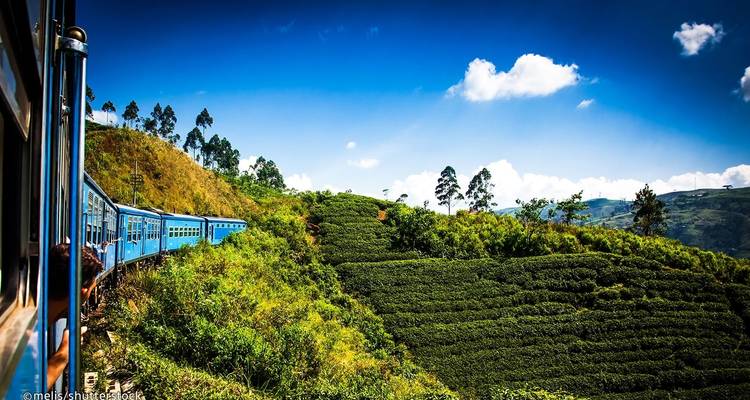 Wildlife for Photography Lenses - 12 Days Tour - Serendib Roots 10
