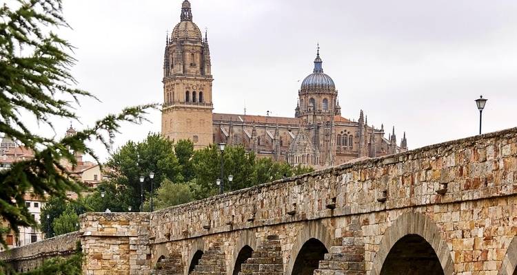 El río de oro de Portugal - Viking Cruises 6