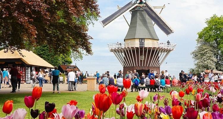 Hollande et; Belgique Anvers à Amsterdam - Viking Cruises 3