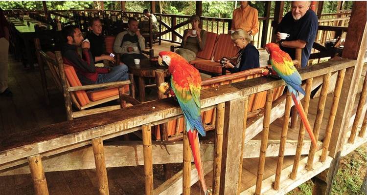 4/3 Tambopata Jungle (Small Group Tours) - ILE Tours 1