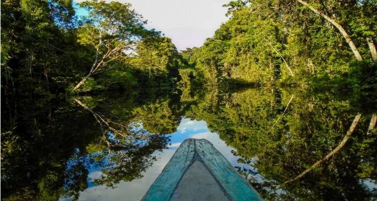 4/3 Forêt tropicale de la jungle d'Iquitos (petit groupe) - ILE Tours 1