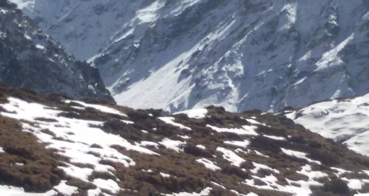 Kanchenjunga South Base Camp short Trek for 14 days - Mega Mount Treks and Expedition Pvt.Ltd.  2