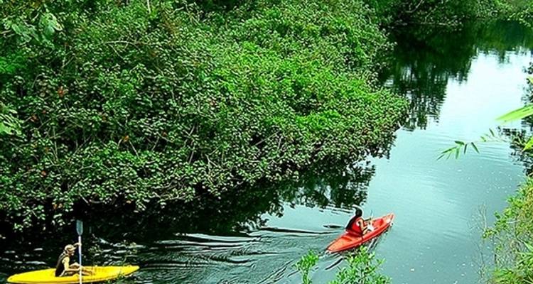 5/4 Forêt tropicale de la jungle d'Iquitos (petit groupe) - ILE Tours 6