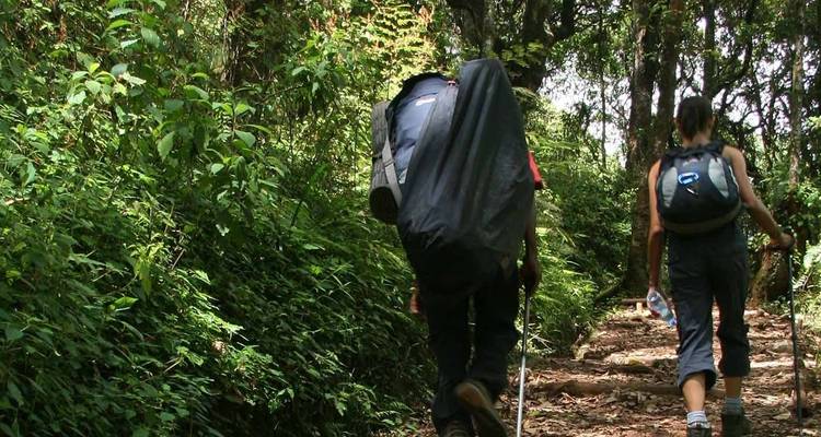 6 Días - Ruta Machame - Samora Explorers Ltd 6