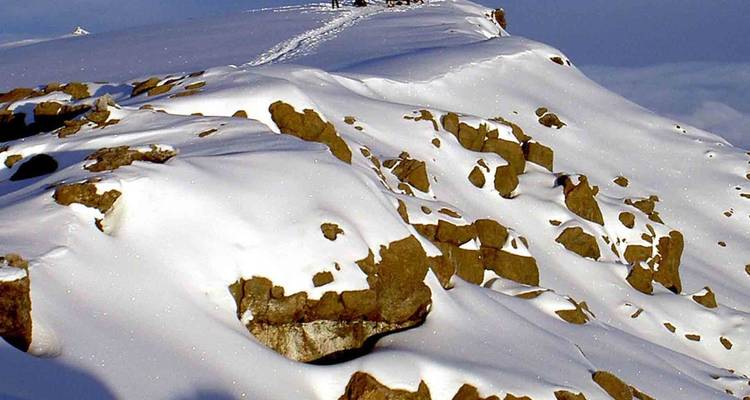 6 Días - Ruta Machame - Samora Explorers Ltd 4