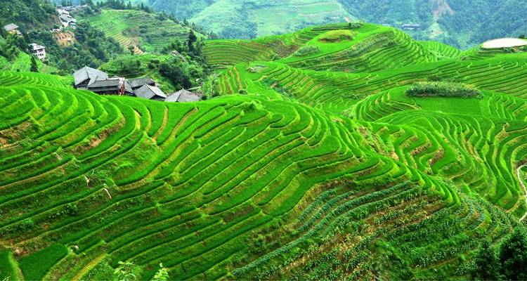 L'essence de Guilin - Truly China Travel 8