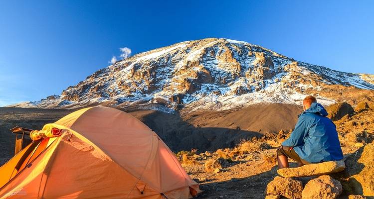 Route du Lemosho - 7 jours - Samora Explorers Ltd 4