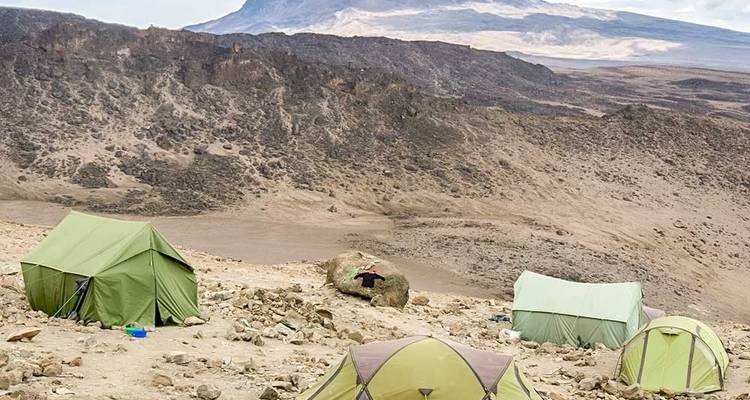 Route du Lemosho - 7 jours - Samora Explorers Ltd 3