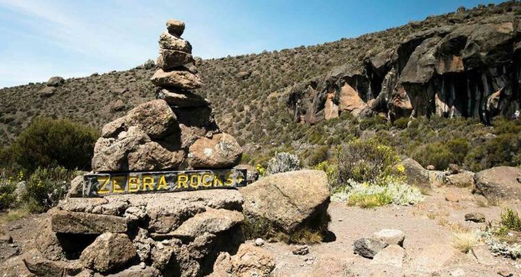 Route du Lemosho - 7 jours - Samora Explorers Ltd 1