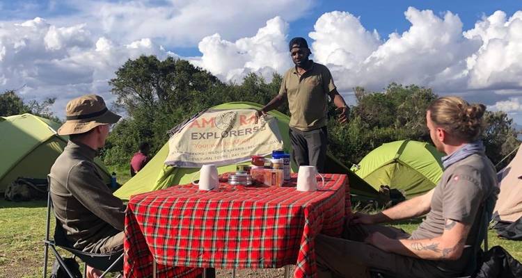 Route du Lemosho - 7 jours - Samora Explorers Ltd 9