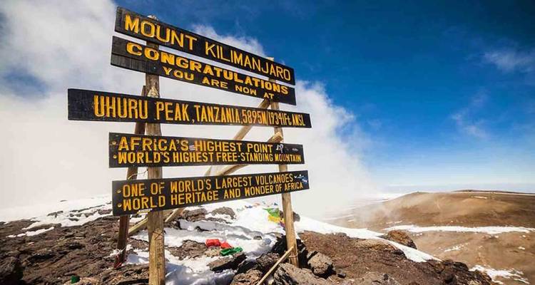 Route du Lemosho - 7 jours - Samora Explorers Ltd 2
