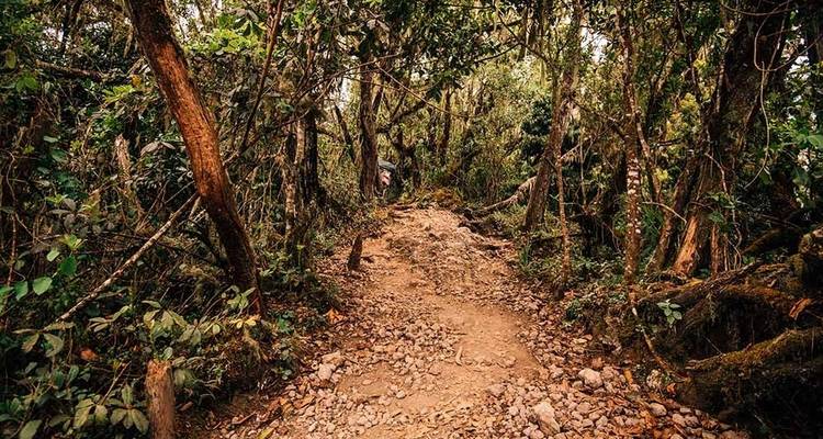 7 Días - Ruta del Rongai - Samora Explorers Ltd 7