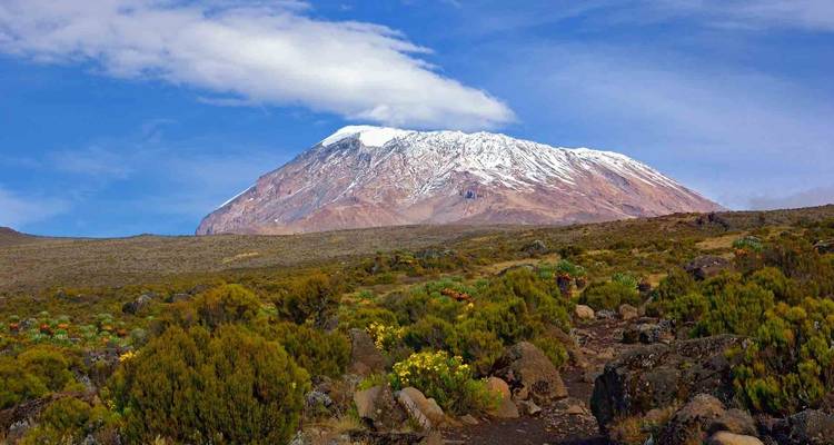 7 Días - Ruta del Rongai - Samora Explorers Ltd 4