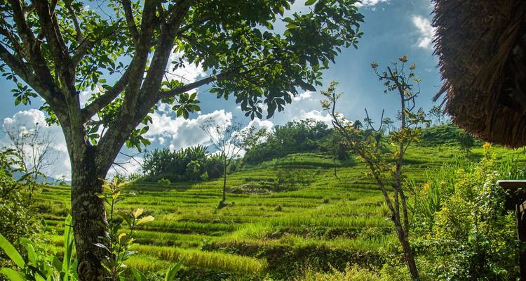 Mai Chau excursión clásica de 2 días y 1 noche - Nhat Long Travel Company 10
