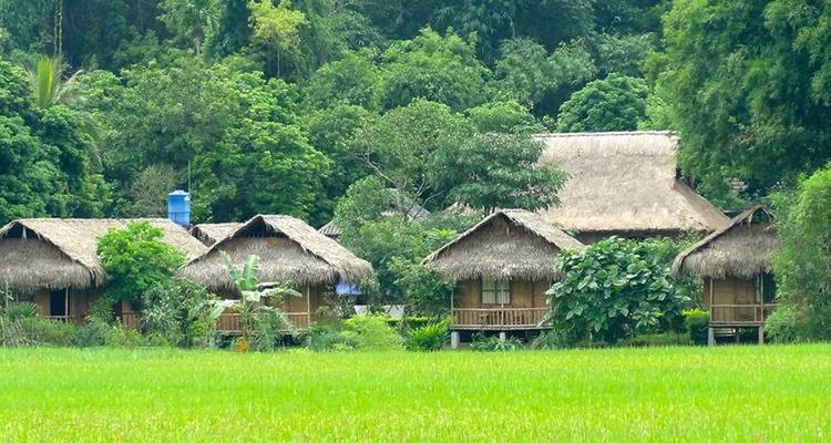 Reetdachhäuser umgeben von üppigem Grün