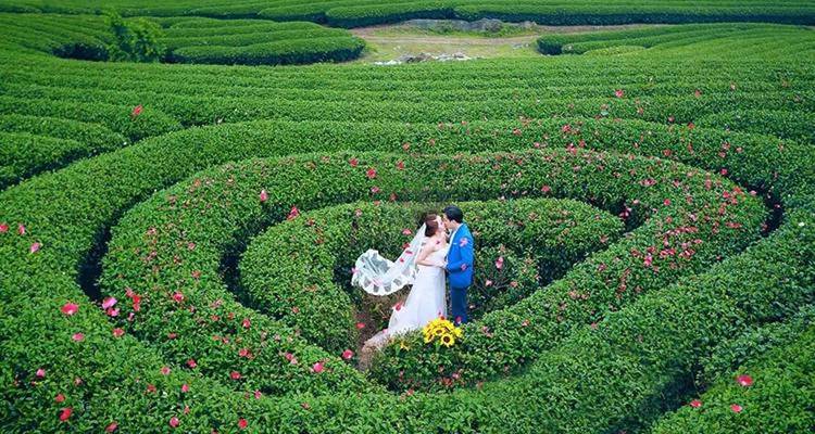 Paar in formeller Kleidung in einer üppig grünen Gartenumgebung