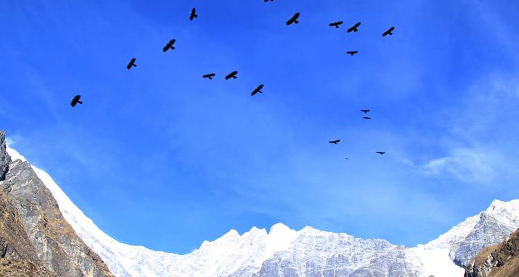 Excursionismo por el valle de Langtang - Escape Himalaya Trek 2