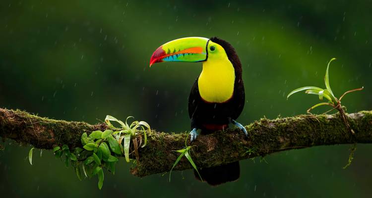 Magnificents Iguazú Falls - Services de partage - People Travel and Experience 7