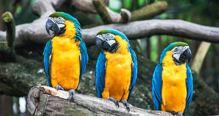Magnificents Iguazú Falls - Services de partage - People Travel and Experience 8