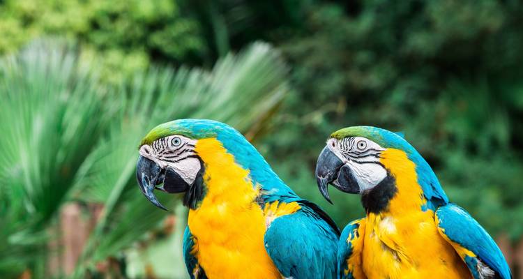 Magnificents Iguazú Falls - Services de partage - People Travel and Experience 9