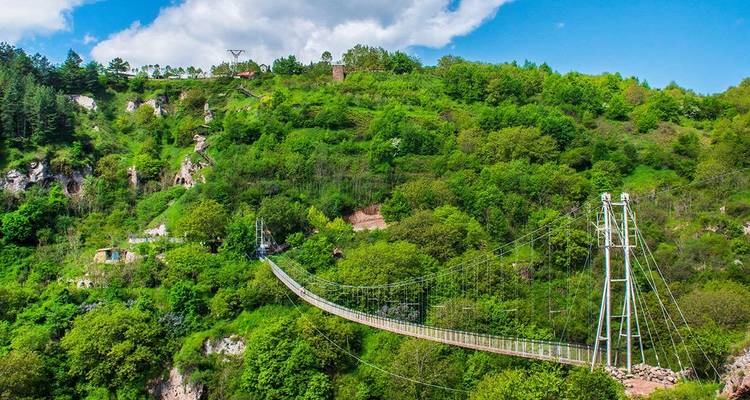 Suspension bridge crossing over lush green landscape.