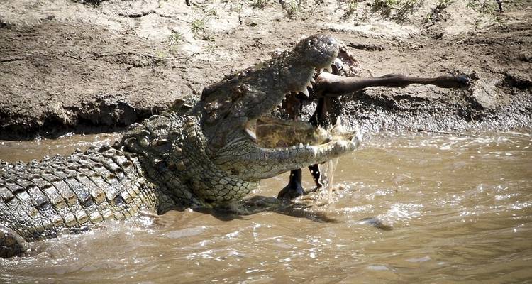 Safari a Ruanda - Ovacado Adventures 7