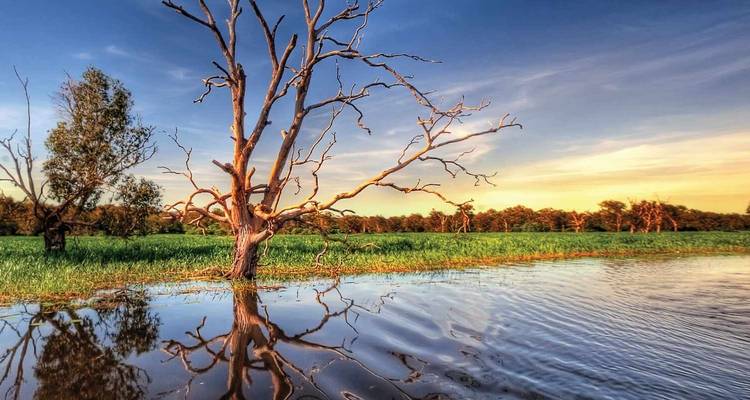 Natuurlandschap met een spiegelende rivier en dode bomen tijdens zonsondergang.