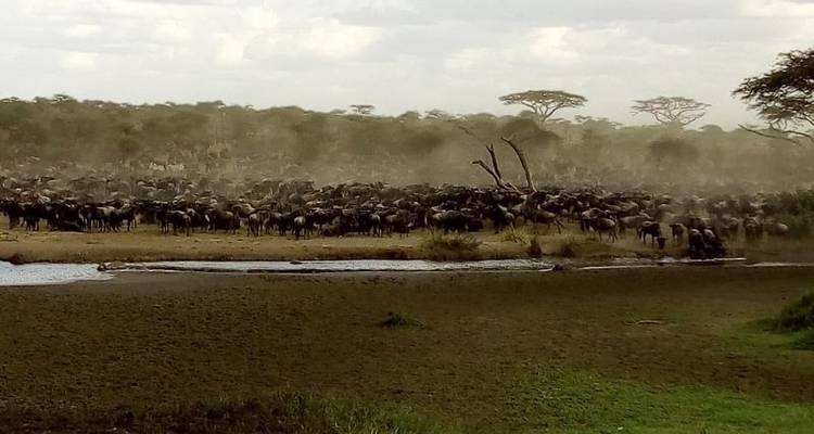 Kenya-7 days featuring classic safari - Almighty Kilimanjaro 7