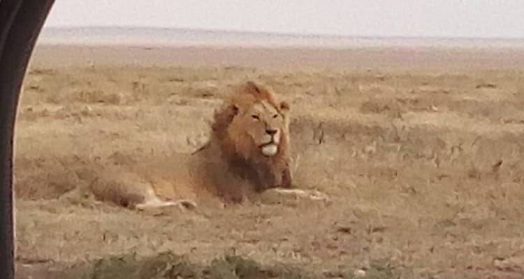 Kenya-7 days featuring classic safari - Almighty Kilimanjaro 2