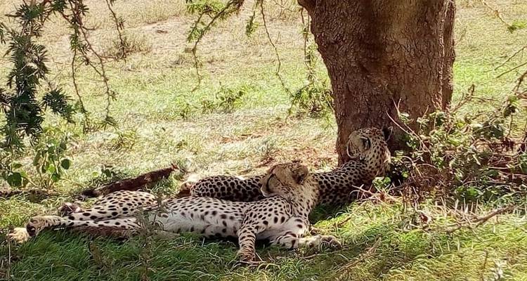 Kenya-7 days featuring classic safari - Almighty Kilimanjaro 3