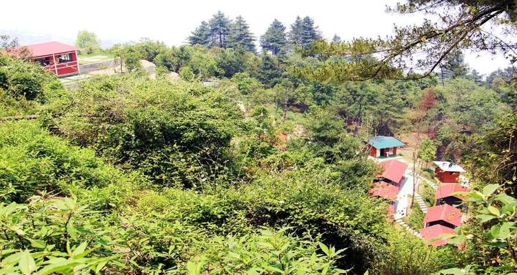 Senderismo Colina Nagarjun/Kakani - Mega Mount Treks and Expedition Pvt.Ltd.  7