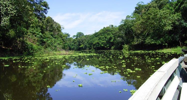 Jungle péruvienne de Tambopata - 2 jours/1 nuit - PVTravels 2