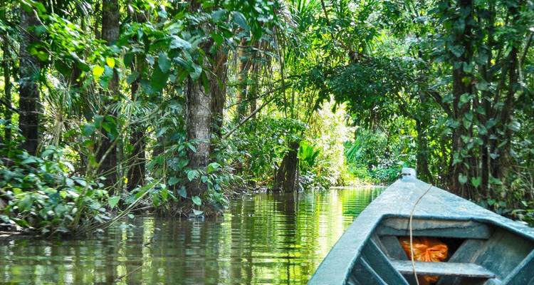 Jungle péruvienne de Tambopata - 2 jours/1 nuit - PVTravels 4