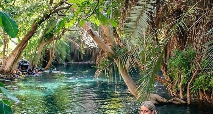 Cascadas de Materuni, circuito del café y aguas termales de Kikuletwa - Africa Outland Safaris 4