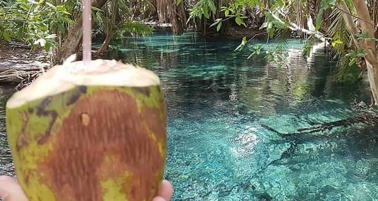 Cascadas de Materuni, circuito del café y aguas termales de Kikuletwa - Africa Outland Safaris 2
