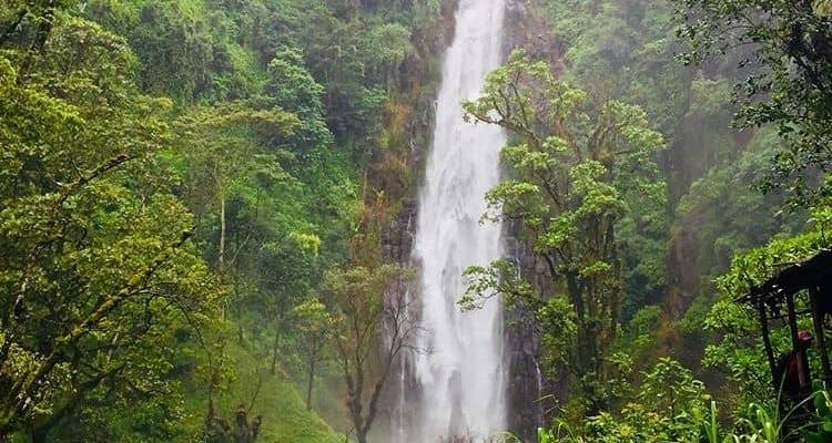 Cascadas de Materuni, circuito del café y aguas termales de Kikuletwa - Africa Outland Safaris 10
