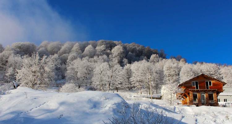 Invierno en Georgia, Gudauri y Bakuriani - Georgia Country Tours LLC 4
