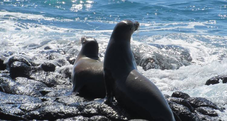 Découvrez les Galápagos - 6 jours - Cami Adventures 1