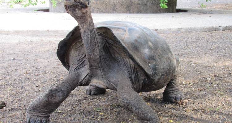 Découvrez les Galápagos - 6 jours - Cami Adventures 7